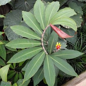 Meet your Posher, Irene